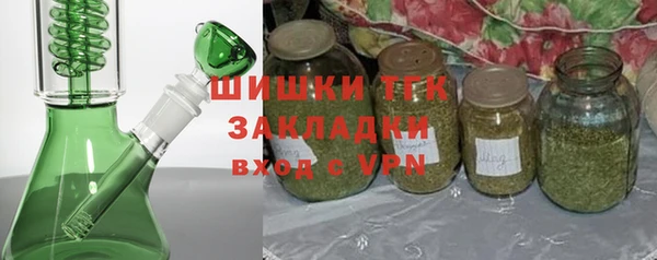 шишки Белокуриха