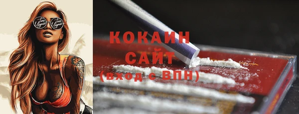 шишки Белокуриха