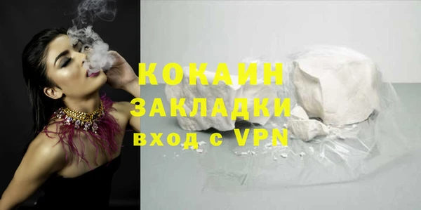 шишки Белокуриха