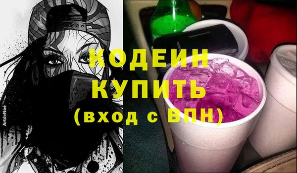 шишки Белокуриха